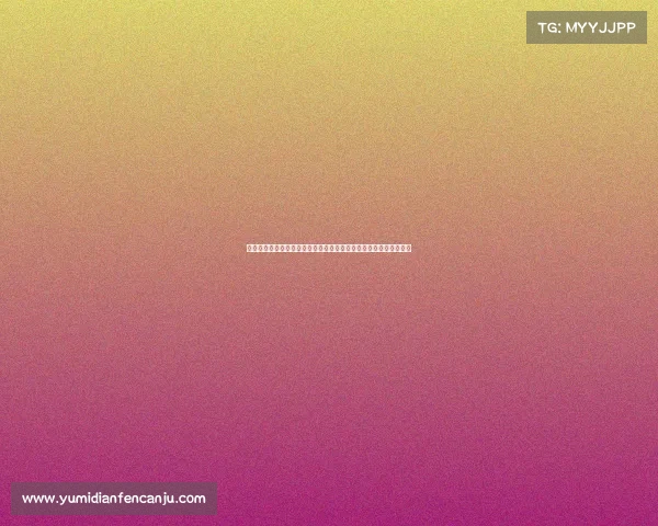 精彩拳击赛事盛大开幕全球顶尖高手同台竞技激情碰撞弘扬体育精神